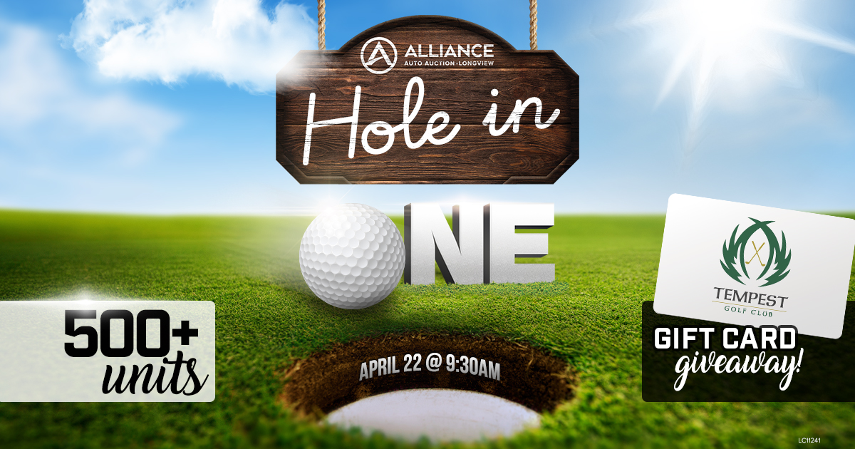 Hole-in-One-2022-AAALGV-Event