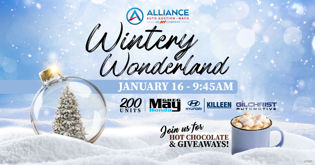 Waco Wintery Wonderland